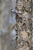 2019_0029
