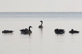 2018_0144