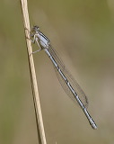 2012_0906