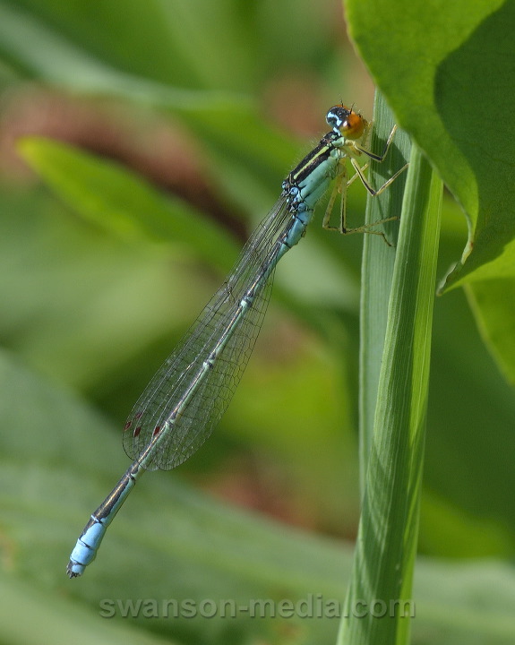 2013_0625.jpg