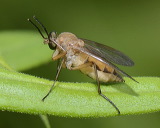 2015_0976