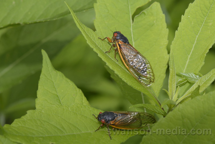 2025_0409.jpg