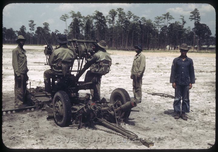 wgs-11.jpg