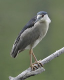 5991
